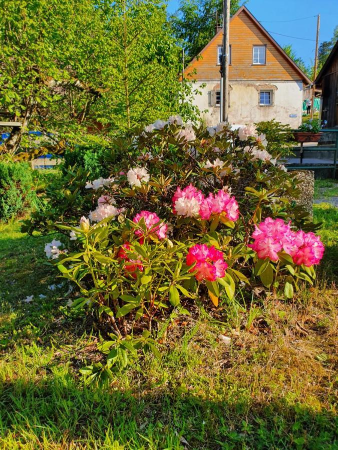 Locations Dupertuis Alsace Apartment เลอโอห์วาลด์ ภายนอก รูปภาพ