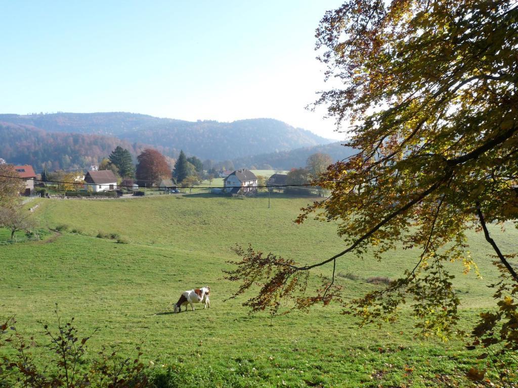 Locations Dupertuis Alsace Apartment เลอโอห์วาลด์ ห้อง รูปภาพ