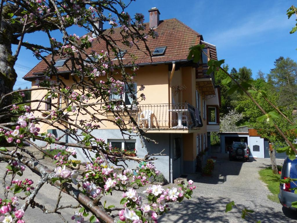 Locations Dupertuis Alsace Apartment เลอโอห์วาลด์ ภายนอก รูปภาพ