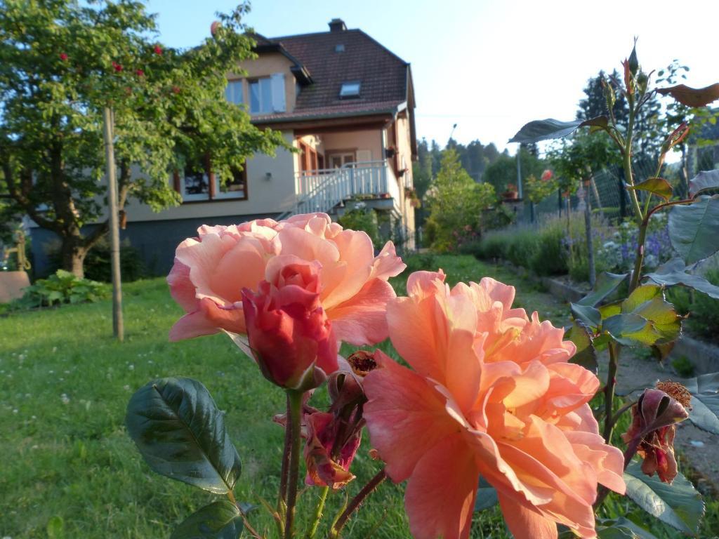 Locations Dupertuis Alsace Apartment เลอโอห์วาลด์ ภายนอก รูปภาพ