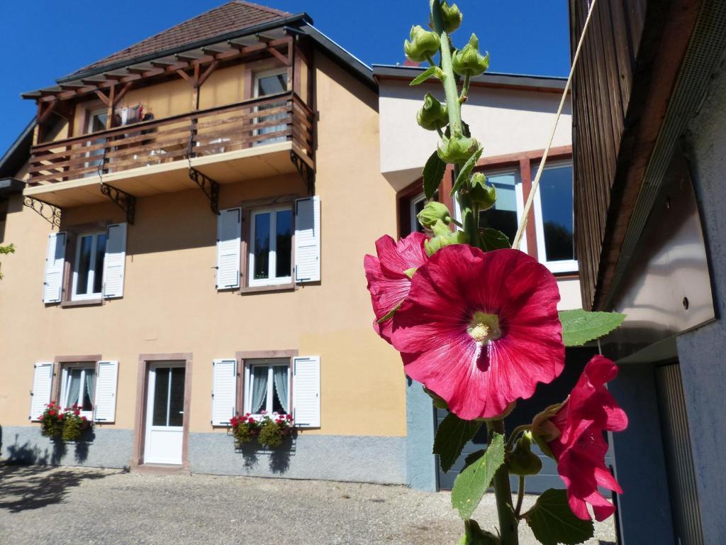 Locations Dupertuis Alsace Apartment เลอโอห์วาลด์ ภายนอก รูปภาพ